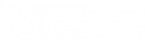 customer logo
