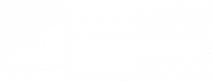 ecosystem logo