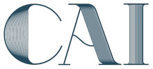 CAI Store logo